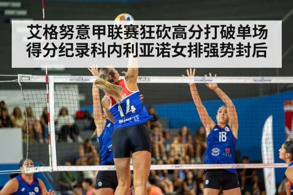 volleyball match action